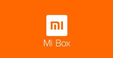 Manual de usuario Xiaomi Mi Box S en PDF.