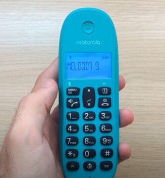 Manual Motorola C1001L pdf.